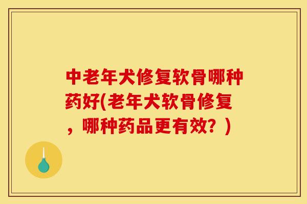 中老年犬修复软骨哪种药好(老年犬软骨修复，哪种药品更有效？)