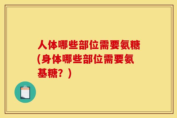 人体哪些部位需要氨糖(身体哪些部位需要氨基糖？)