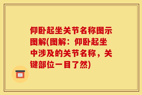 仰卧起坐关节名称图示图解(图解：仰卧起坐中涉及的关节名称，关键部位一目了然)
