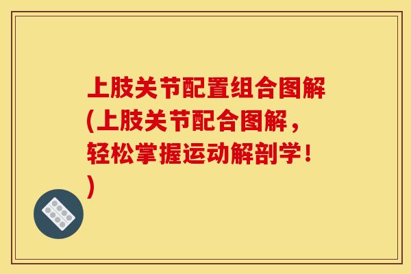 上肢关节配置组合图解(上肢关节配合图解，轻松掌握运动解剖学！)