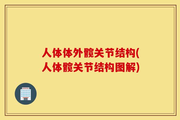 人体体外髋关节结构(人体髋关节结构图解)