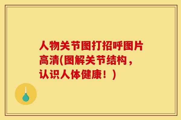 人物关节图打招呼图片高清(图解关节结构，认识人体健康！)
