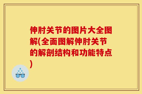 伸肘关节的图片大全图解(全面图解伸肘关节的解剖结构和功能特点)