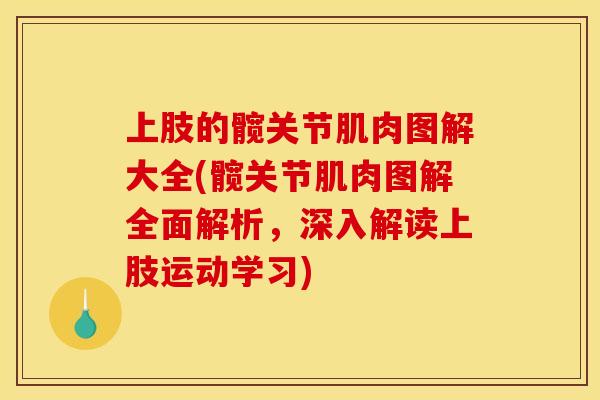 上肢的髋关节肌肉图解大全(髋关节肌肉图解全面解析，深入解读上肢运动学习)