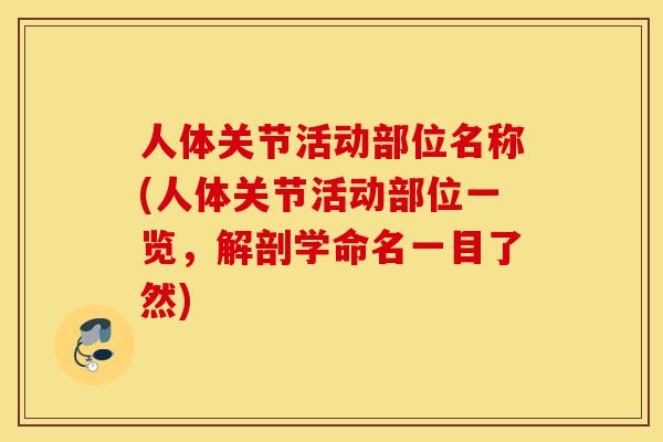 人体关节活动部位名称(人体关节活动部位一览，解剖学命名一目了然)