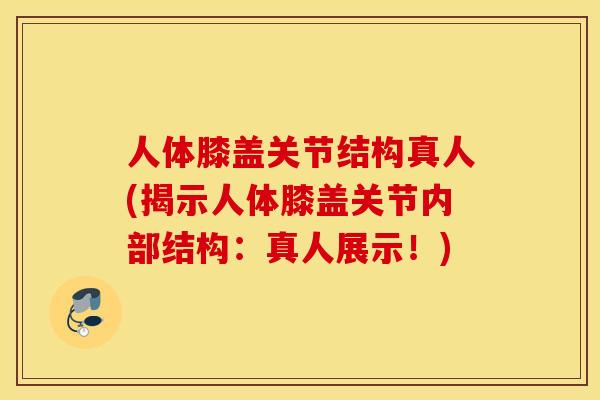 人体膝盖关节结构真人(揭示人体膝盖关节内部结构：真人展示！)