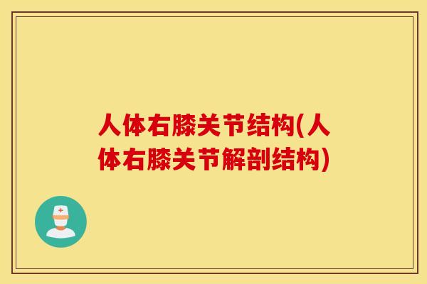 人体右膝关节结构(人体右膝关节解剖结构)
