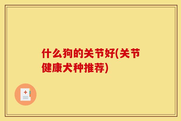 什么狗的关节好(关节健康犬种推荐)
