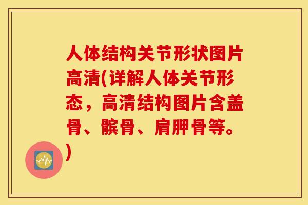 人体结构关节形状图片高清(详解人体关节形态，高清结构图片含盖骨、髌骨、肩胛骨等。)