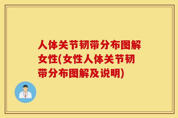 人体关节韧带分布图解女性(女性人体关节韧带分布图解及说明)