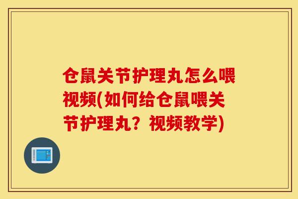 仓鼠关节护理丸怎么喂视频(如何给仓鼠喂关节护理丸？视频教学)