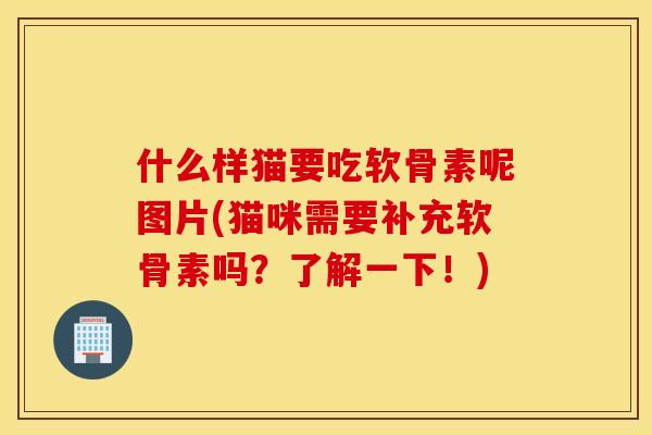 什么样猫要吃软骨素呢图片(猫咪需要补充软骨素吗?了解一下!) 什么样猫要吃软骨素呢图片(猫咪需要补充软骨素吗?了解一下!)