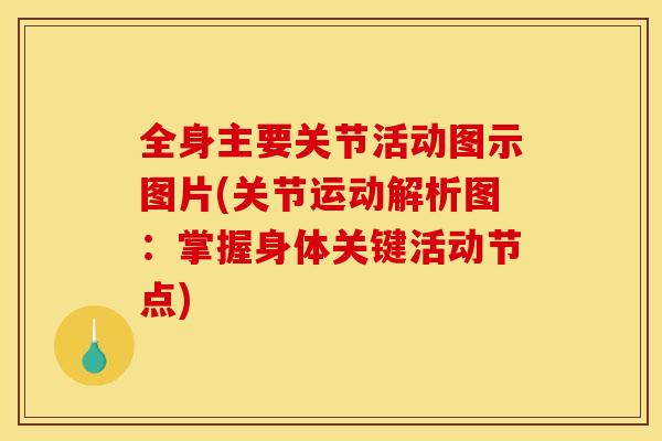 全身主要关节活动图示图片(关节运动解析图：掌握身体关键活动节点)