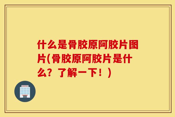 什么是骨胶原阿胶片图片(骨胶原阿胶片是什么？了解一下！)