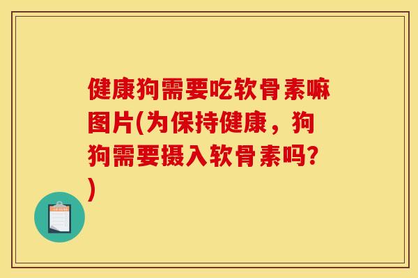 健康狗需要吃软骨素嘛图片(为保持健康，狗狗需要摄入软骨素吗？)