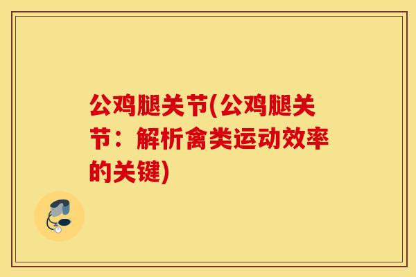 公鸡腿关节(公鸡腿关节：解析禽类运动效率的关键)