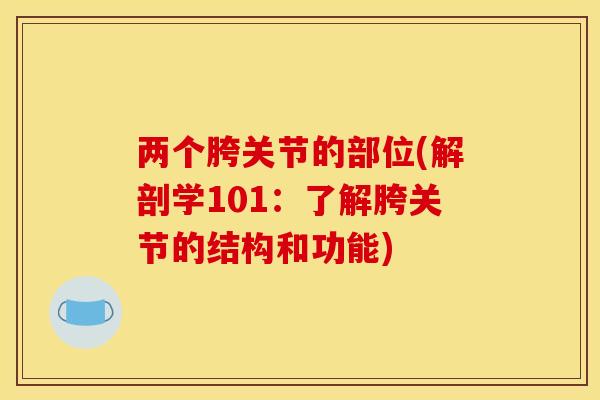 两个胯关节的部位(解剖学101：了解胯关节的结构和功能)