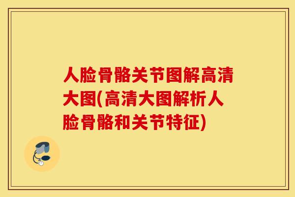 人脸骨骼关节图解高清大图(高清大图解析人脸骨骼和关节特征)