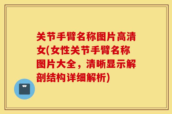 关节手臂名称图片高清女(女性关节手臂名称图片大全，清晰显示解剖结构详细解析)