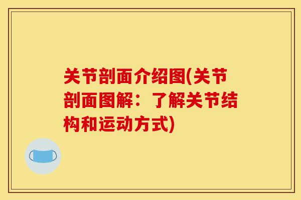 关节剖面介绍图(关节剖面图解：了解关节结构和运动方式)