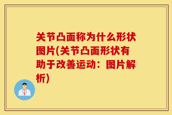 关节凸面称为什么形状图片(关节凸面形状有助于改善运动:图片解析) 关节凸面称为什么形状图片(关节凸面形状有助于改善运动:图片解析)