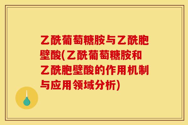 乙酰葡萄糖胺与乙酰胞壁酸(乙酰葡萄糖胺和乙酰胞壁酸的作用机制与应用领域分析)
