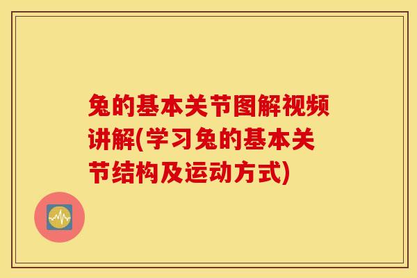 兔的基本关节图解视频讲解(学习兔的基本关节结构及运动方式) 兔的基本关节图解视频讲解(学习兔的基本关节结构及运动方式)