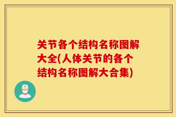 关节各个结构名称图解大全(人体关节的各个结构名称图解大合集)