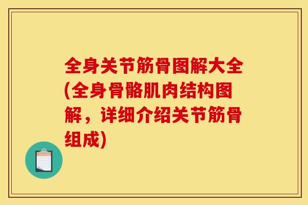 全身关节筋骨图解大全(全身骨骼肌肉结构图解，详细介绍关节筋骨组成)