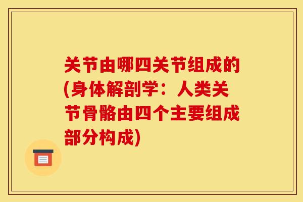 关节由哪四关节组成的(身体解剖学:人类关节骨骼由四个主要组成部分构成) 关节由哪四关节组成的(身体解剖学:人类关节骨骼由四个主要组成部分构成)