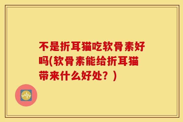 不是折耳猫吃软骨素好吗(软骨素能给折耳猫带来什么好处？)