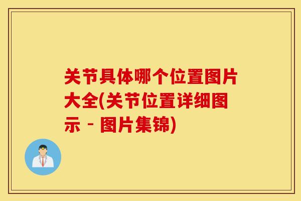 关节具体哪个位置图片大全(关节位置详细图示 - 图片集锦)