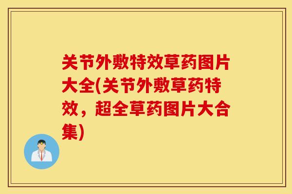关节外敷特效草药图片大全(关节外敷草药特效，超全草药图片大合集)