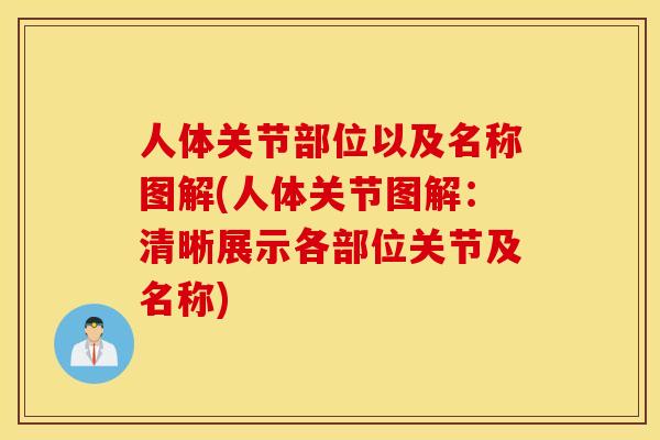 人体关节部位以及名称图解(人体关节图解：清晰展示各部位关节及名称)