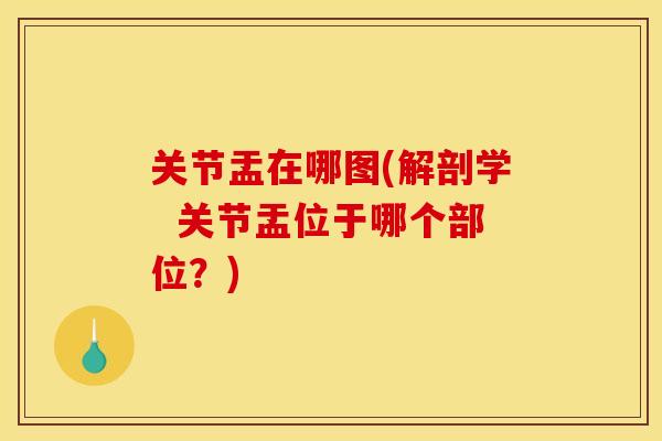 关节盂在哪图(解剖学  关节盂位于哪个部位？)