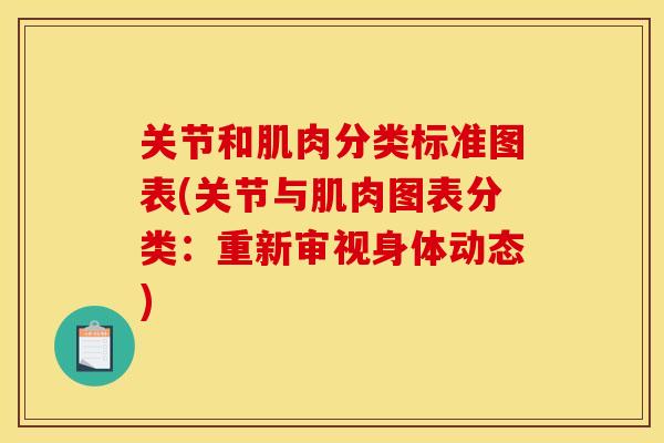 关节和肌肉分类标准图表(关节与肌肉图表分类：重新审视身体动态)