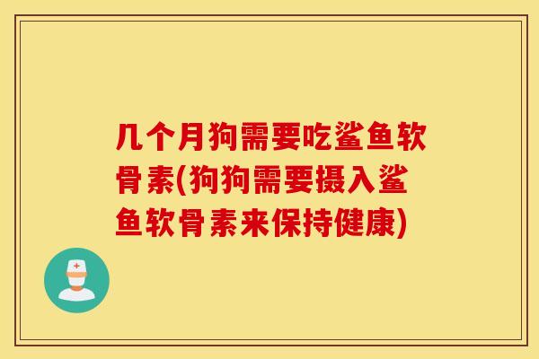 几个月狗需要吃鲨鱼软骨素(狗狗需要摄入鲨鱼软骨素来保持健康)