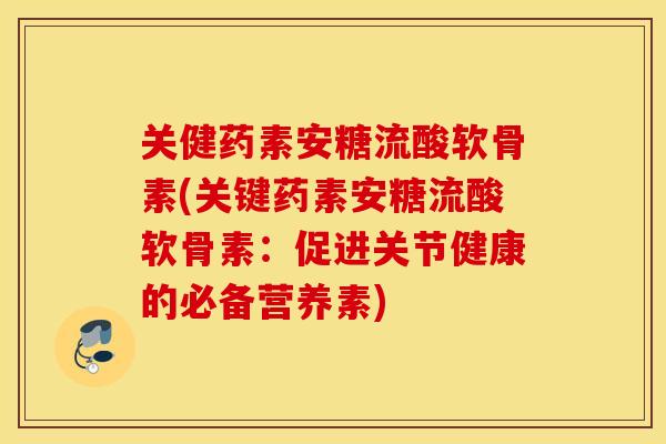 关健药素安糖流酸软骨素(关键药素安糖流酸软骨素：促进关节健康的必备营养素)
