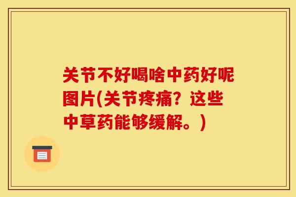 关节不好喝啥中药好呢图片(关节疼痛？这些中草药能够缓解。)