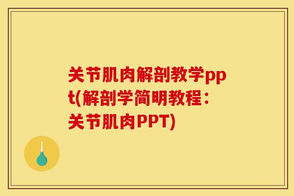 关节肌肉解剖教学ppt(解剖学简明教程:关节肌肉PPT) 关节肌肉解剖教学ppt(解剖学简明教程:关节肌肉PPT)