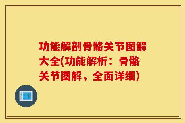 功能解剖骨骼关节图解大全(功能解析：骨骼关节图解，全面详细)