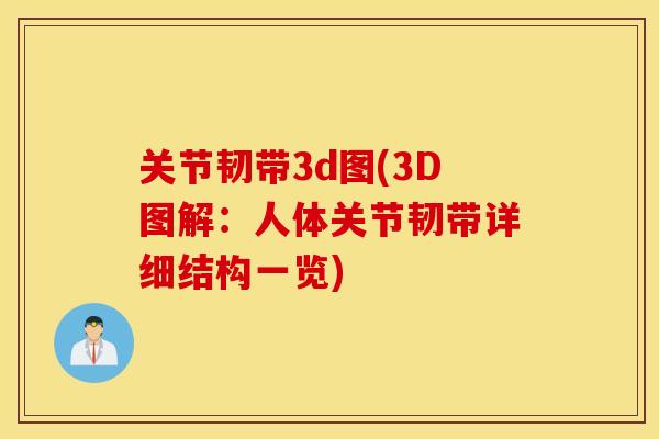 关节韧带3d图(3D图解：人体关节韧带详细结构一览)