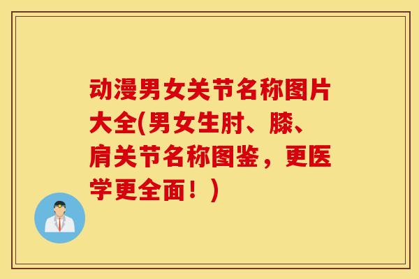 动漫男女关节名称图片大全(男女生肘、膝、肩关节名称图鉴，更医学更全面！)