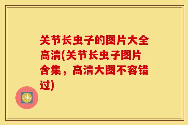 关节长虫子的图片大全高清(关节长虫子图片合集,高清大图不容错过) 关节长虫子的图片大全高清(关节长虫子图片合集,高清大图不容错过)