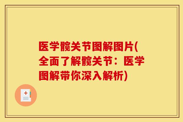 医学髋关节图解图片(全面了解髋关节：医学图解带你深入解析)