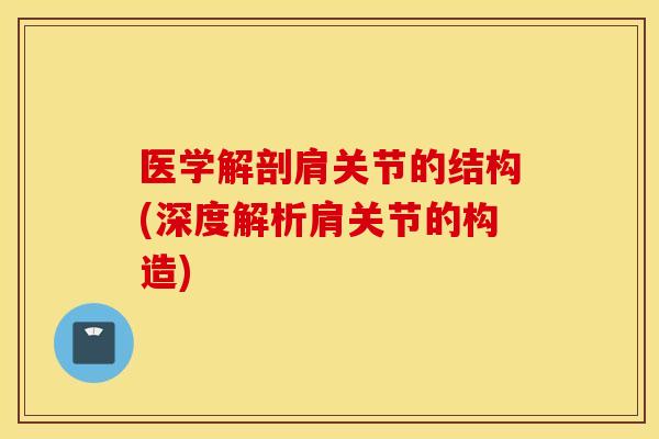 医学解剖肩关节的结构(深度解析肩关节的构造)