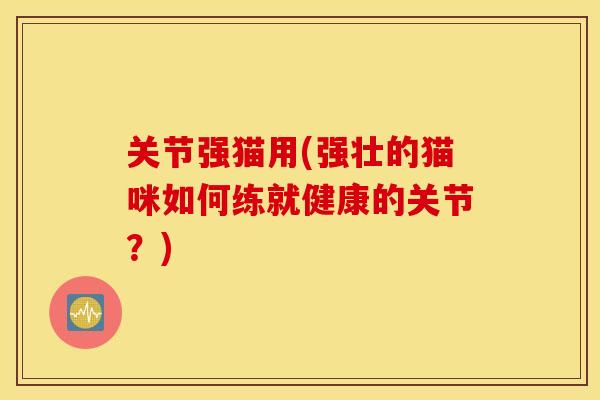 关节强猫用(强壮的猫咪如何练就健康的关节?) 关节强猫用(强壮的猫咪如何练就健康的关节?)