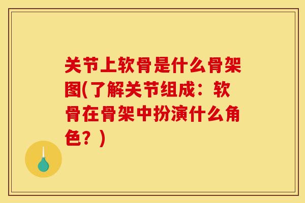 关节上软骨是什么骨架图(了解关节组成：软骨在骨架中扮演什么角色？)