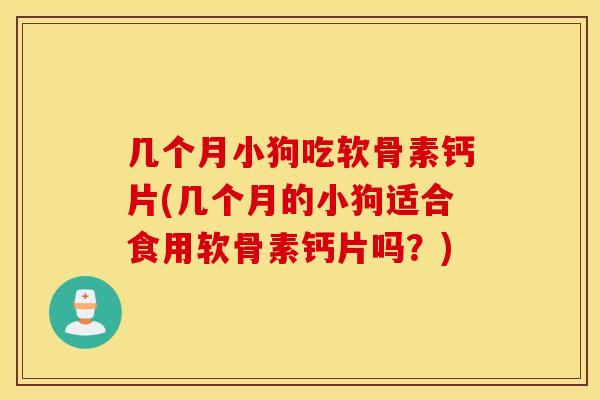几个月小狗吃软骨素钙片(几个月的小狗适合食用软骨素钙片吗？)