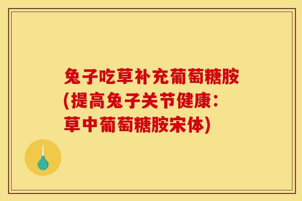 兔子吃草补充葡萄糖胺(提高兔子关节健康：草中葡萄糖胺宋体)